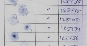 Audit of USAID Afghan Wheat vouchers with thumbprints as signatures