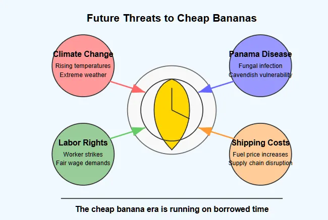 Clock-themed infographic showing four major threats to cheap bananas. A banana with clock hands at the center is surrounded by four circles representing: Climate Change (rising temperatures, extreme weather), Panama Disease (fungal infection, Cavendish vulnerability), Labor Rights (worker strikes, fair wage demands), and Shipping Costs (fuel price increases, supply chain disruption). All point to the center with colored arrows, with text at bottom reading 'The cheap banana era is running on borrowed time. Copyright - Prime Rogue Inc - 2025. 