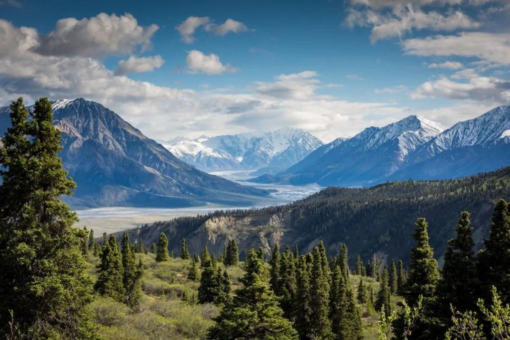 A photo depicting the meeting of a boreal forest and glaciers in Greenland by Kalen Emsley (https://unsplash.com/@kalenemsley)