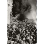 wwii war on the eastern front photo