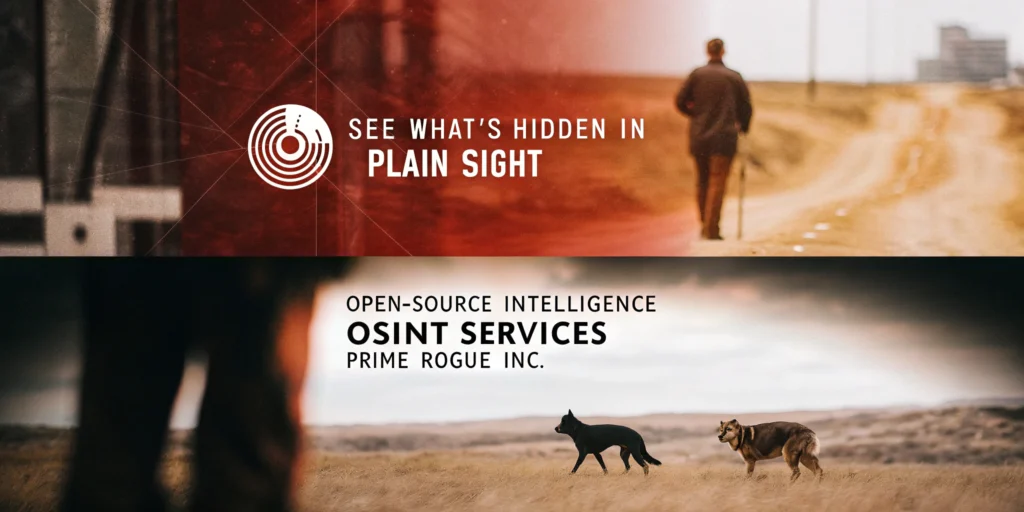 Open-Source Intelligence (OSINT) Services by Prime Rogue Inc.