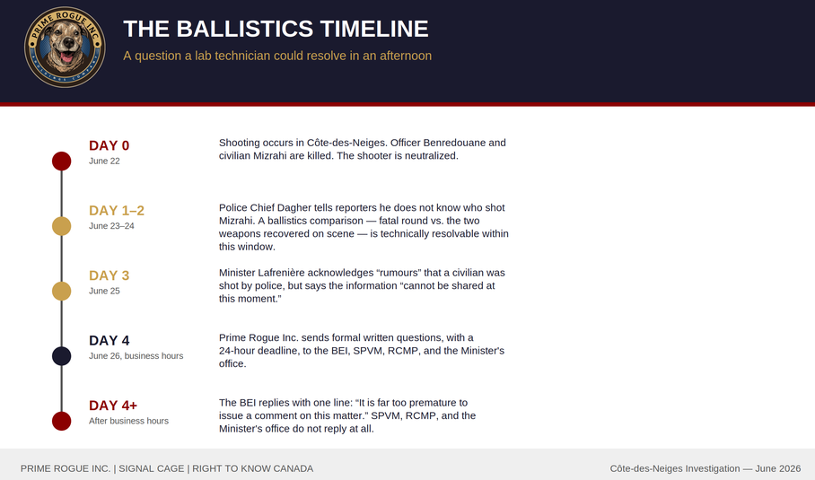 Timeline infographic titled "The Ballistics Timeline" showing five stages from June 22 to June 26, 2026: the Côte-des-Neiges shooting, Police Chief Dagher's "I don't know who shot Mizrahi" statement, Minister Lafrenière's "rumours" comment, Prime Rogue Inc.'s formal written questions with a 24-hour deadline, and the BEI's after-hours one-line response calling the matter "too premature."